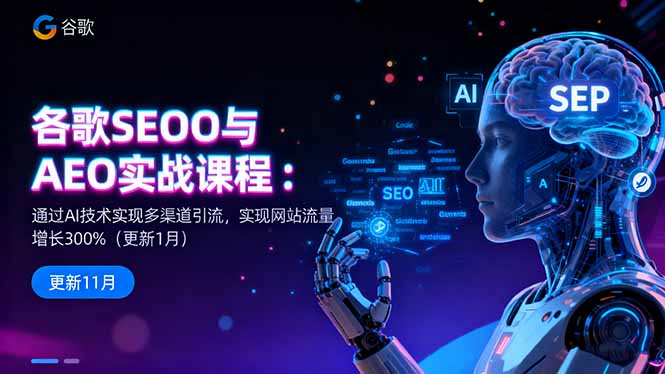 谷歌SEO与AEO实战课程:通过AI技术实现多渠道引流,实现网站流量增长300%-汉兴项目网创资源网