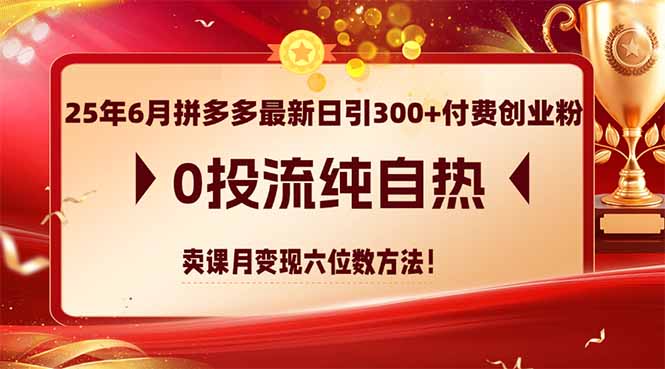 25年6月拼多多最新日引300+付费创业粉，0投流纯自热 卖课月变现六位数方法-汉兴项目网创资源网